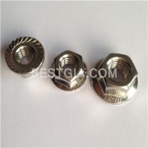 Stainless Steel Hex Flang Nuts